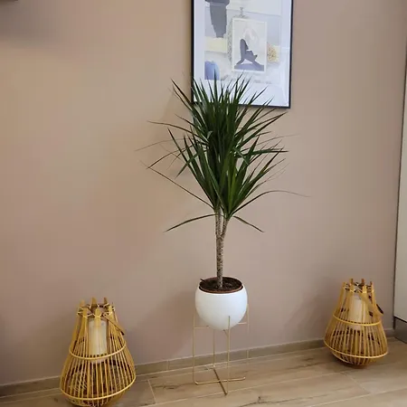 La Casa Sole Lejlighed